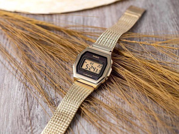 Часы наручные унисекс Casio A-1000MGA-5E