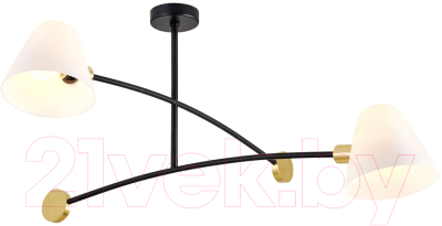 Люстра FAVOURITE 3045-2P - фото