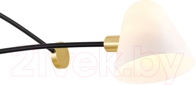 Люстра FAVOURITE 3045-2P