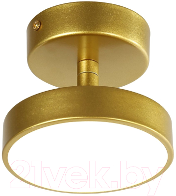 Потолочный светильник FAVOURITE 3059-1P - фото