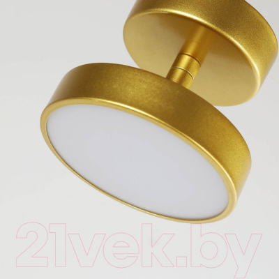 Потолочный светильник FAVOURITE 3059-1P