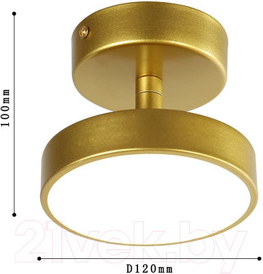 Потолочный светильник FAVOURITE 3059-1P