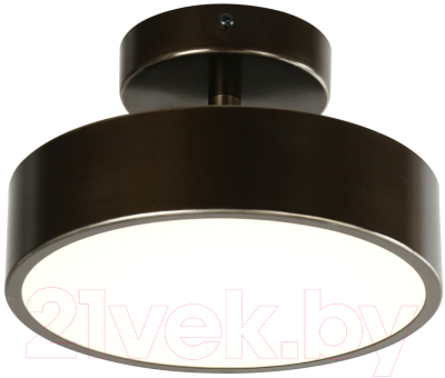 Потолочный светильник FAVOURITE 3060-2P - фото