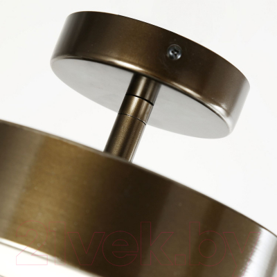 Потолочный светильник FAVOURITE 3060-2P