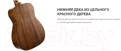 Электроакустическая гитара Cort Luce Series L450CL-NS