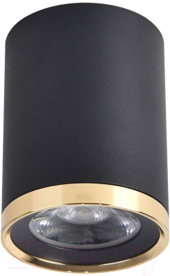 Потолочный светильник FAVOURITE 3086-1C - фото