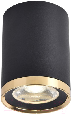 Потолочный светильник FAVOURITE 3086-1C