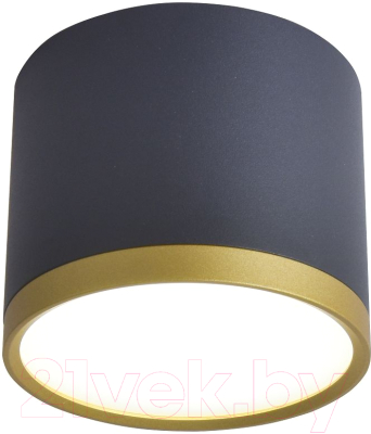 Потолочный светильник FAVOURITE 3081-2C - фото