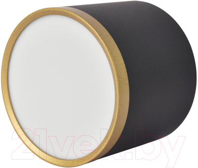 Потолочный светильник FAVOURITE 3081-2C