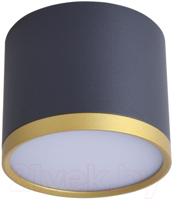 Потолочный светильник FAVOURITE 3081-2C