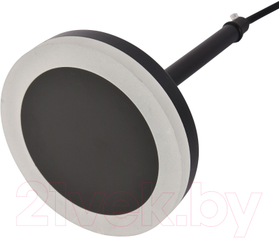 Потолочный светильник FAVOURITE 3077-1P