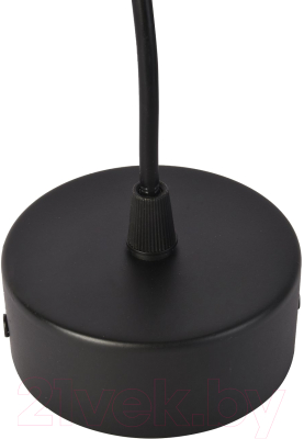 Потолочный светильник FAVOURITE 3077-1P