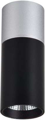 Потолочный светильник FAVOURITE 3072-1C - фото