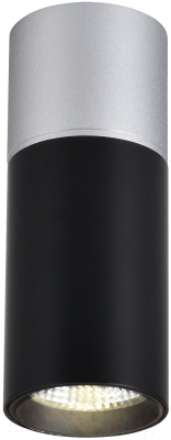 Потолочный светильник FAVOURITE 3072-1C