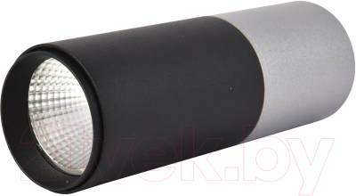 Потолочный светильник FAVOURITE 3072-1C