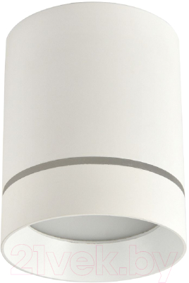 Потолочный светильник FAVOURITE 3064-1C - фото