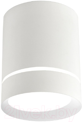 Потолочный светильник FAVOURITE 3064-1C