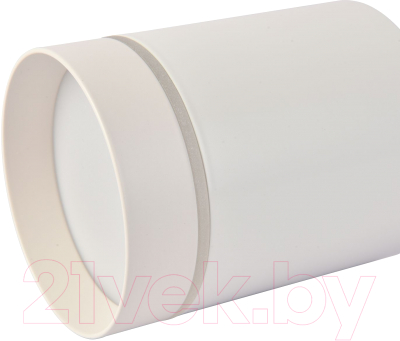 Потолочный светильник FAVOURITE 3064-1C