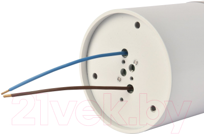 Потолочный светильник FAVOURITE 3064-1C