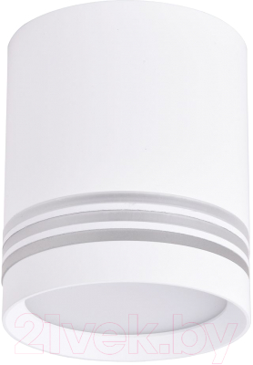 Потолочный светильник FAVOURITE 3065-1C