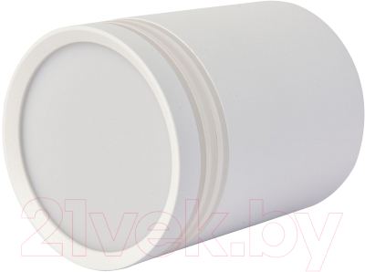 Потолочный светильник FAVOURITE 3065-1C