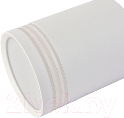 Потолочный светильник FAVOURITE 3065-1C