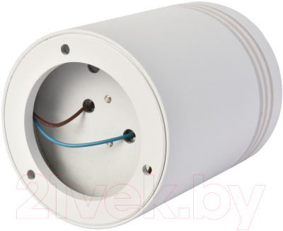 Потолочный светильник FAVOURITE 3065-1C