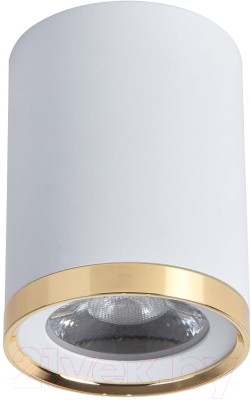 Потолочный светильник FAVOURITE 3085-1C - фото