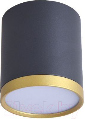 Потолочный светильник FAVOURITE 3081-1C - фото