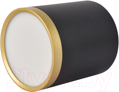 Потолочный светильник FAVOURITE 3081-1C