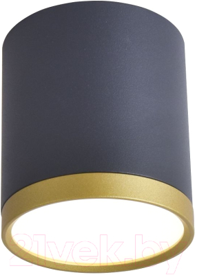 Потолочный светильник FAVOURITE 3081-1C