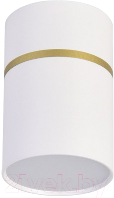 Потолочный светильник FAVOURITE 3067-1C - фото