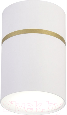 Потолочный светильник FAVOURITE 3067-1C