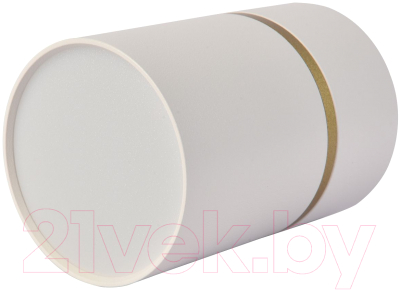 Потолочный светильник FAVOURITE 3067-1C