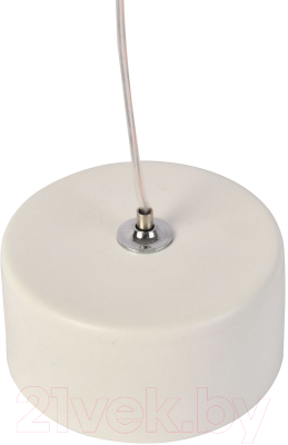 Потолочный светильник FAVOURITE 3080-1P