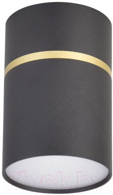 Потолочный светильник FAVOURITE 3068-1C - фото