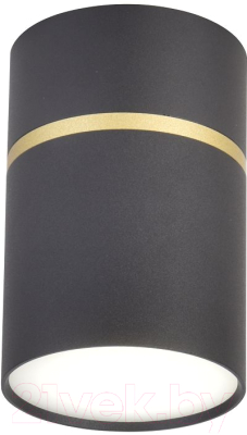 Потолочный светильник FAVOURITE 3068-1C