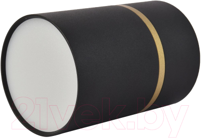 Потолочный светильник FAVOURITE 3068-1C