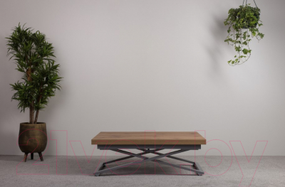 Стол-трансформер Levmar Compact D38/S59