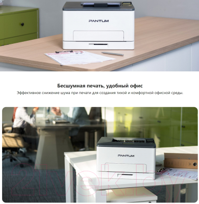 Принтер Pantum CP1100DW