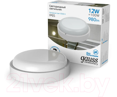 Светильник ЖКХ Gauss 126411312