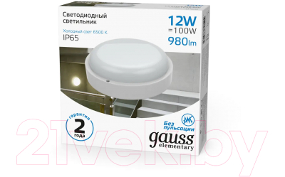 Светильник ЖКХ Gauss 126411312