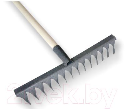 Грабли Ямполь-Слуцк 3.448 - фото