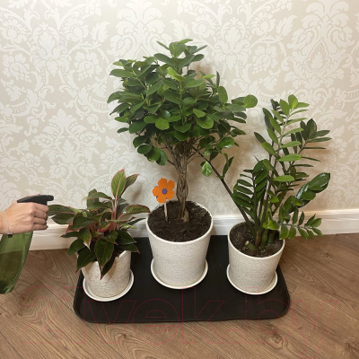 Поддон для обуви Мультидом ПТ72-50