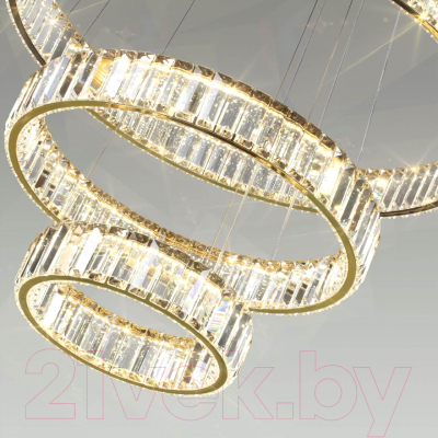 Потолочный светильник Odeon Light Vekia 5015/88L