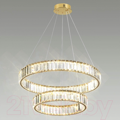 Потолочный светильник Odeon Light Vekia 5015/60L