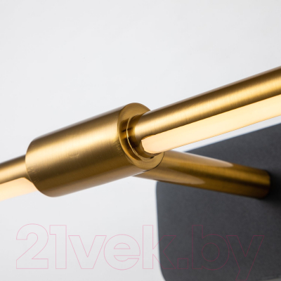 Подсветка для картин и зеркал FAVOURITE 4016-1W