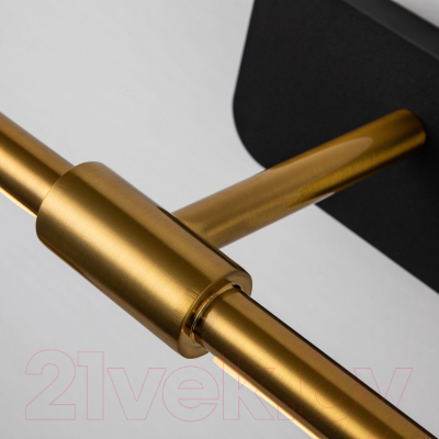 Подсветка для картин и зеркал FAVOURITE 4016-1W