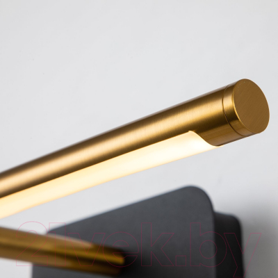 Подсветка для картин и зеркал FAVOURITE 4016-1W