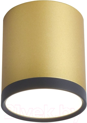 Потолочный светильник FAVOURITE 3082-1C - фото